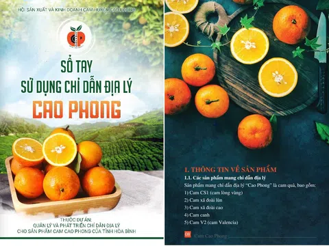 Hoạt động hỗ trợ phát triển tài sản trí tuệ năm 2021