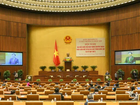 Vi phạm sở hữu trí tuệ: Chỉ xử phạt hành chính không đủ sức răn đe