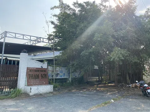 Rủi ro pháp lý thường trực khi kinh doanh hóa chất