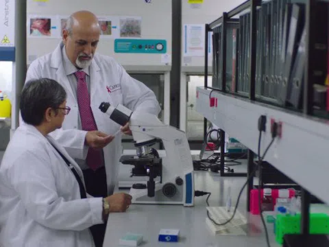 Bốn công trình được vinh danh giải VinFuture