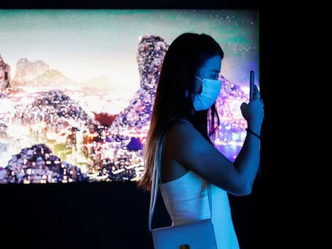 Cảnh báo hoạt động rửa tiền trên thị trường nghệ thuật