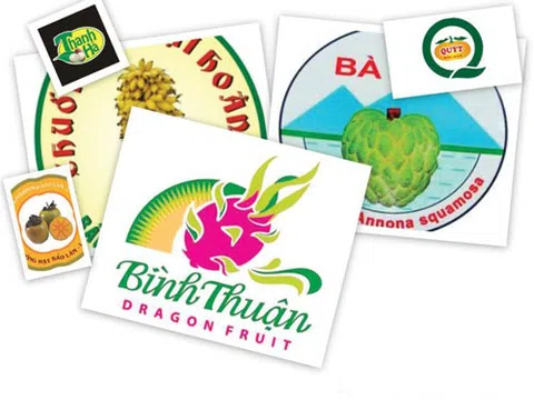 Tác động của pháp luật đến vấn đề bảo hộ chỉ dẫn địa lý đối với nông sản Việt