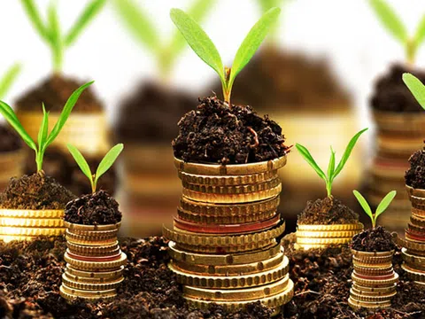 Chính sách tiền tệ xanh nhìn từ các nước và gợi mở với Việt Nam