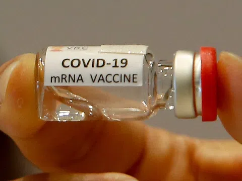 Tổng giám đốc WHO ủng hộ miễn trừ quyền sở hữu trí tuệ vaccine Covid-19