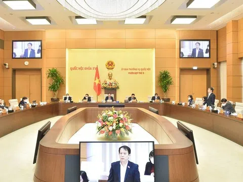 Không thu hẹp đối tượng xử phạt vi phạm hành chính trong lĩnh vực sở hữu trí tuệ