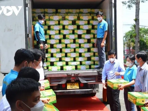 Xoài Cát Chu của Đồng Tháp hiện diện ở Châu Âu