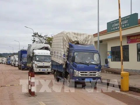 Trên 1.770 mã sản phẩm nông sản, thực phẩm được xuất khẩu sang Trung Quốc