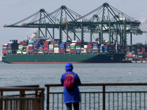 WTO giảm mạnh dự báo tăng trưởng thương mại toàn cầu năm 2022