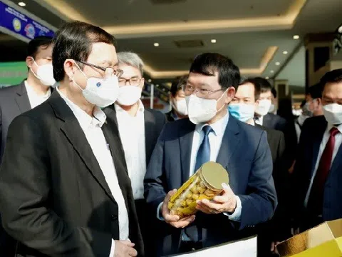 Sở hữu trí tuệ - Công cụ 'nâng tầm' hoạt động đổi mới sáng tạo