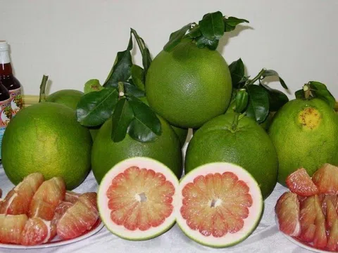 Bưởi da xanh được cấp phép xuất khẩu vào thị trường Mỹ