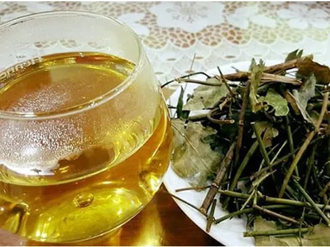 Bảo hộ chỉ dẫn địa lý “Quảng Trị” cho sản phẩm chè vằng