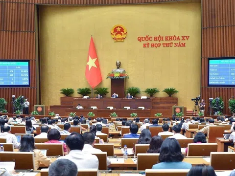 Luật Đấu thầu (sửa đổi) 2023 và những qui định mới quan trọng