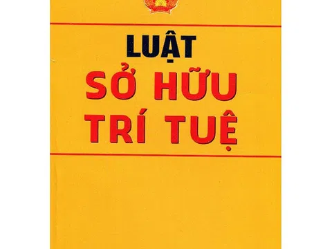 Các biện pháp xử lý đối với hàng giả, hàng hóa xâm phạm quyền sở hữu trí tuệ