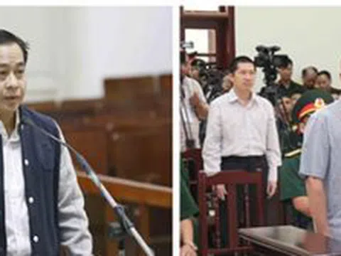 Giám định tư pháp và các vụ đại án kinh tế