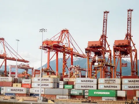 Cơ chế hạn ngạch thuế quan đối với tất cả các mặt hàng trừ gạo trong Hiệp định EVFTA