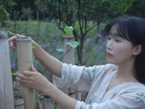 Thương hiệu Lý Tử Thất có nguy cơ biến mất