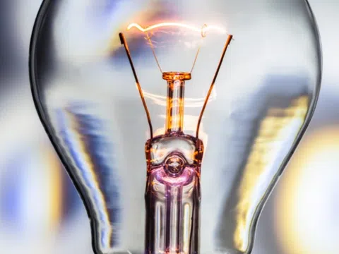 Thủ tục hủy bỏ hiệu lực một văn bằng bảo hộ nhãn hiệu