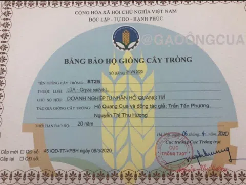 ST25 VÀ CÂU CHUYỆN XÂY DỰNG, BẢO HỘ THƯƠNG HIỆU