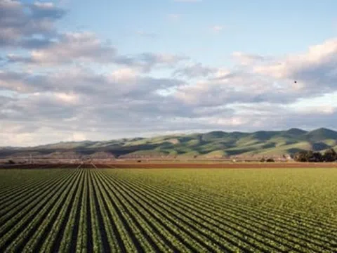 Bảo hộ sở hữu sản phẩm nông sản: Cơ quan quản lý sẽ chung tay với doanh nghiệp