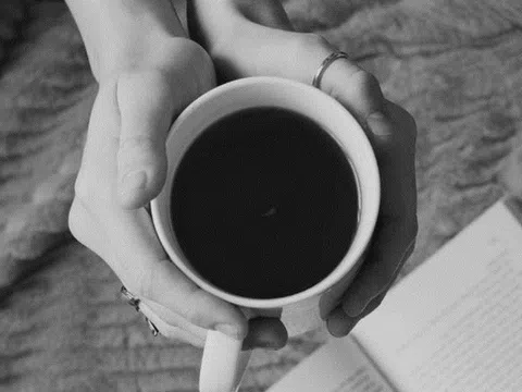 Bảo hộ chỉ dẫn địa lý “Na Hang” cho sản phẩm chè Shan tuyết