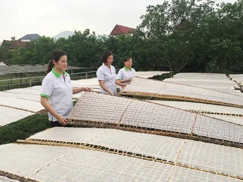 Phát triển tài sản trí tuệ: Đặt doanh nghiệp vào vị trí trung tâm