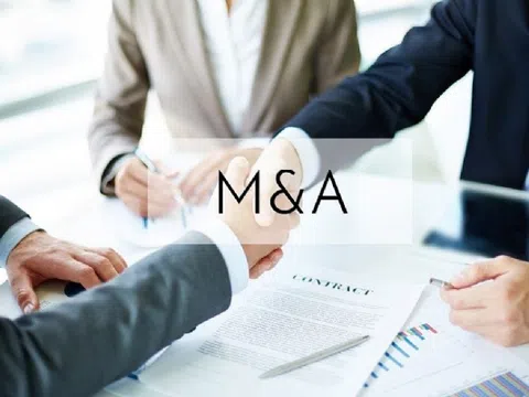 Thẩm định tính pháp lý về quyền sở hữu trí tuệ trong thương vụ M&A