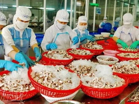 Các mặt hàng xuất khẩu chủ lực khai thác tốt lợi thế thị trường EVFTA