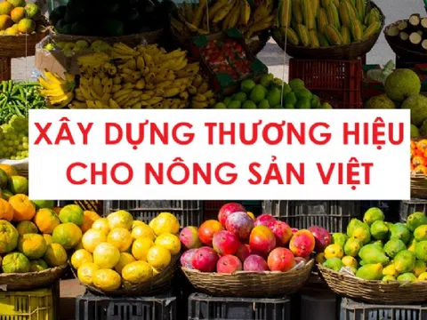 Xây dựng thương hiệu cho nông sản Việt, nên bắt đầu từ đâu?