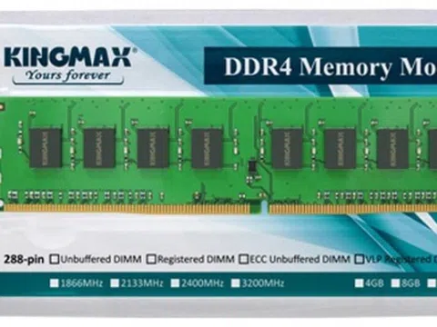 Ranh giới “mong manh” giữa Nhập khẩu song song và Hàng hóa giả mạo nhãn hiệu nhìn từ vụ việc KINGMAX