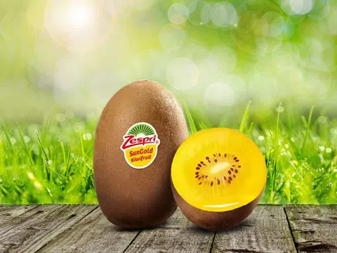 Trận chiến kiwi vàng giữa New Zealand và Trung Quốc vẫn chưa đến hồi kết