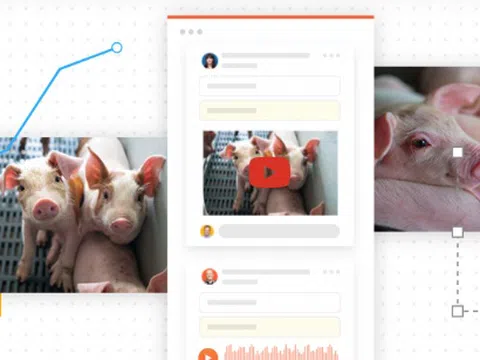 Thúc đẩy đổi mới sáng tạo và đầu tư công nghệ nông nghiệp tại Việt Nam