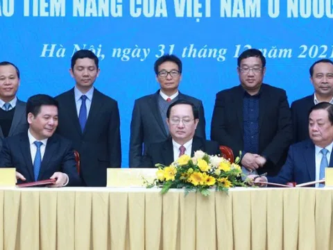 Bảo hộ nhãn hiệu, chỉ dẫn địa lý các sản phẩm xuất khẩu của Việt Nam